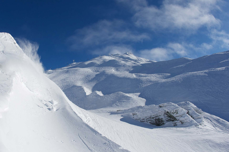 Powder in NZ