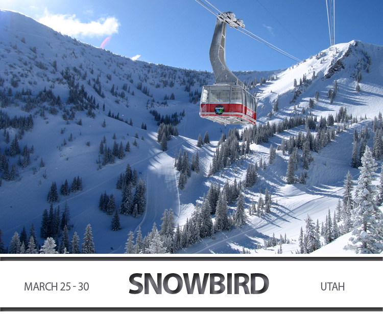 Snowbird Utah SKI BUMS LGBT Ski Trip