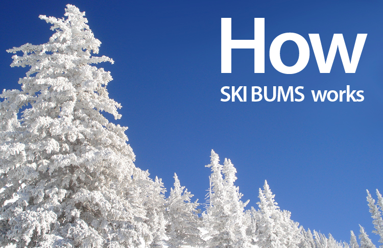 How SKI BUMS works